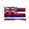 ABD Amerika Hawaii Eyalet Bayrakları 3039x5039ft 100D Polyester Dış Mekan Yüksek Kalitesi İki Pirinç Gromets7442794