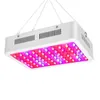 Nuovo design 600W Dual Chip 380-730nm Full Light Spectrum LED Lampada per la crescita delle piante Bianco di alta qualità Grow Lights ad alta luminosità