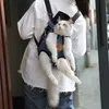 Pet Mesh Cat Transportadora Bolsa Cross-fronteira Respirável Mochila Leve Sair Sacos Pet Sacos Portáteis