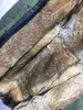 Weelderige bruine wasbeerbontafwerking Mukla bont merk bruin rex konijnenbont voering legergroene lange damesparka's