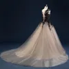 Vintage Gothic Black A Line Wedding Dresses Bridal Gowns Appliques Lace Boho Beach Vestidos De Novia Sleeveless Plus Size Country Bride Dress 2022