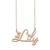 Lily name necklaces pendant for women Custom Personalized girls children best friends Mothers Gifts 18k gold plated Stainless steel