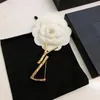 Spilla di design di lusso di alta qualità Spilla classica per gioielli Abito da abito Lettera Gioielli Spille in oro Spille Vestiti Ornamento Festa
