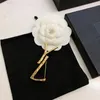 Hoge kwaliteit luxe designer broche sieraden klassieke pin voor pak jurk brief sieraden gouden broches pins kleding ornament Party265v