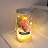 Bottiglie di auguri di fiori di sapone fatti a mano a LED Fiori secchi per regalo di San Valentino Fiore artificiale Decorazione di nozze Festa della mamma Surpr9774332