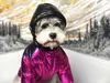 Winter Popular Dog Apparel Ski Suit Pet Down Jacket Puffer Cool Handsome Dog Coat Poodle Drop Ship 2 Colors