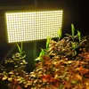 새로운 디자인 300W 정사각형 전체 스펙트럼 LED 성장 조명 고품질 화이트 Nound Plant 조명의 큰 영역 CE FCC RoHS