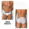 Men Briefs Sexy Mesh Underpants Mens Bikini Gay Underwear Low Waist Male Panties Comfortable Breathable Solid Man Underwear