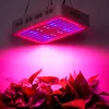 Podwójne układy 2000 W 380-730NM Pełne światło spektrum LED Lampa wzrostu roślin White Grow Light