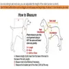 Не токсичный воротник собаки кошка ремень против ошибок комаров москиты клещи блох личинки чевницы шеи ремень водостойкий наряд для собак котенок LJ201109