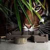 Personnalisé 3D Photo Papier Peint Tigre Affiche Peinture Murale Salon Entrée Chambre Fond Art Animal Mural Revêtement