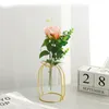 Strongwell Nordic Golden Glass Vase Iron Hydroponic Plant Flower Vase Tabletop Coffee Shop Office Home Decoration LJ201209