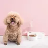 Cuencos para mascotas con botella de agua Gatos Perros pequeños Dispensador automático de bebidas Doble puerto Tazón de alimentación Alimentador para cachorros Producto para mascotas Y200922