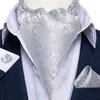 Fliegen Männer Luxus Silber Paisley Seide Ascot Krawatte Set Hochzeit Party Krawatte Taschentuch Manschettenknöpfe Krawatte Ring Sets DiBanGu Fred22