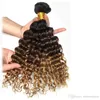 1b 4 27 Ombre Haare mit Verschluss brasilianischer jungfräuliches Haar Deep Wave 3 Bündel mit Spitzenverschluss 100 unverarbeitete tiefe lockige menschliche Haare 3000033