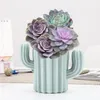 Plastic Vase Home Decoration European Cactus Wedding Decorations Unbreakable Creative Pen Holder Storage Box