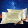 LREA 1PC 4874cm Pillow de seda A família ou hotel protege o pescoço preenche os travesseiros de dormir confortáveis ​​para a cama T200603