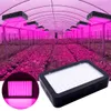 Sıcak Satış 1200 W 100 * 10 W Tam Spektrum 3030 Lamba Boncuk Bitki Lambası Tek Kontrol Siyah Premium Malzeme Işık Büyümek