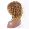 Afro kinky krullend synthetisch zwart pruik simulatie menselijk haar perruques de cheveux humains pelucas de cabello humano pruiken JS707