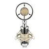 FreeShipping My Mic T4 Professional Condenser Recording Studio Microphone For Live Broadcast