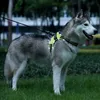 Arreios de LED recarregáveis ​​para animais de estimação Tailup de cão nylon LED Plashing Light Dog Harness Collar Safety Leash Belt Belt Dog Acessórios 201101