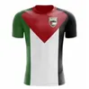 Nowy 2021 Argentyna Jersey Hiszpania Palestyna Koncepcja Soccer Jersey 20 21 Sierra Leone Home Koszula piłkarska