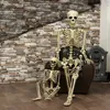 Halloween prop skelet full size skelet schedel hand levensecht menselijk lichaam poseable anatomie model feest festival decoratie Y2010063655434
