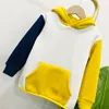 Bebê menina menino crianças dos desenhos animados roupas esportivas conjunto com capuz casaco topos calças 2 pçs sweatsuit bebê menina primavera outono outfits agasalho terno 6780853