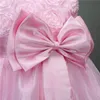 Nowy Kwiat Baby Girl Dress Princess Lace Tulle Tutu Backless Suknia Formalna Party Dress