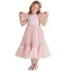 Robe de fille de fleur enfants robes de mariée de demoiselle d'honneur pour enfants robes de tulle rose 2020 nouvelles filles boutique vêtements de fête robes élégantes 09231502