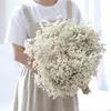 Natural Dried Preserved Flowers Gypsophila Paniculata Baby's Breath Flower Bouquets Gift for Wedding Home Decor Props Po 220311