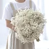 Fleurs séchées naturelles préservées Gypsophila Paniculata Souffle de bébé Bouquets de fleurs cadeau pour mariage Home Decor Props Po 220311