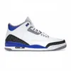 Hommes 3 3S Basketball Chaussures Cardinal Rouge Noir Ciment Pin Vert Racer Bleu Cool Gris Temple De La Renommée Entraîneur Sport Chaussure En Plein Air Athlétique Sneaker