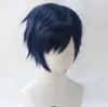 My Boku no Hero Academia Iida Tenya Parrucche Parrucca per capelli corti da uomo 28 cm