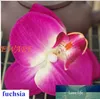 15 stks 9 cm kunstmatige nep zijden orchidee bloem hoofd voor diy bloem garland hoofddeksels draagth decoratief accessoire