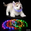 70 cm LED-Hundehalsband, wiederaufladbar, USB, verstellbar, blinkend, für Katzen, Welpen, Sicherheit in der Nacht, passend für alle Silikon-Hundehalsbänder von Haustieren, DBC BH2855