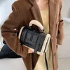 Designer- Fashion Plush Women's Handbag Pu Leather Axel Messenger Påsar för kvinnor Designer Crossbody Bag Purses253f