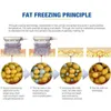 最新の凍結脂肪分解脂肪凍結のヒント凍結療法スリミングキャビテーションRF削減リポレーザーCE