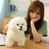 Högkvalitativ simulering Bichon Frise Dog Plush Toy Fylld Korea LifeLike Pomeranian Dog Puppy Leksaker Heminredning Barn Brithday LJ201126