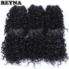 REYNA Kinky Curly Synthetic Hair extension For Women High Temperature Fiber Weave Hair Bundles 6 Pieces 210 Gram hair 2102168890416
