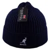 Mannen Vrouwen Unisex Gebreide Muts Winter Warmer Cap Muts Muts Wandelen Ski Cuffed Knit Stretch2505444