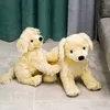 2022 Wypchane zwierzęta 28 cm Cross Rabat Golden Retriever Action Figure Spot Cute Puppy Doll Dog Plush Toy