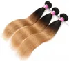 Brazilian Body Wave Two Tone Color Ombre Human Remy Hair Weaves T1B/27 T1B/30 T1B/99J Brown Burgundy Red Double Wefts