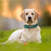 Obroża dla psów Spersonalizowany Niestandardowy Skórzany Kołnierz Dog Nazwa ID Tagi Dla małych Medium Duże Psy Pitbull Bulldog Beagle Correa Perro LJ201112