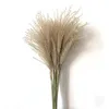 real pampas grama decoração natural flores secas plantas flores de casamento buquê de flores secas fofo adorável para decoração de casa de férias rápido 6719230