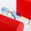 2024 Mens Designer Solglasögon Leopard Composite Metal Rimless Optical Frame Classic Rectangle Square Gold Sunshade Solglas Carti Frame Glasses Lunette