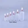 Frosted Glass Dropper Bottle Essential Oil Bottles with Eye Droppers Silver Cap Perfume Sample Vials