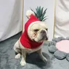 chapeaux en tricot d'hiver pour les chiens