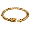 15MM Golden Dog Chain Stainless Steel Slip Pet Gold Chain Cuban Pet Dog Chain Collar accessories