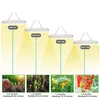 LED Grow Light USB Timing Dimmen Plant Licht Succulent Bloem Opknoping LED Phyto Lamp voor zaadplanten Bloemen Greenhouses Tent